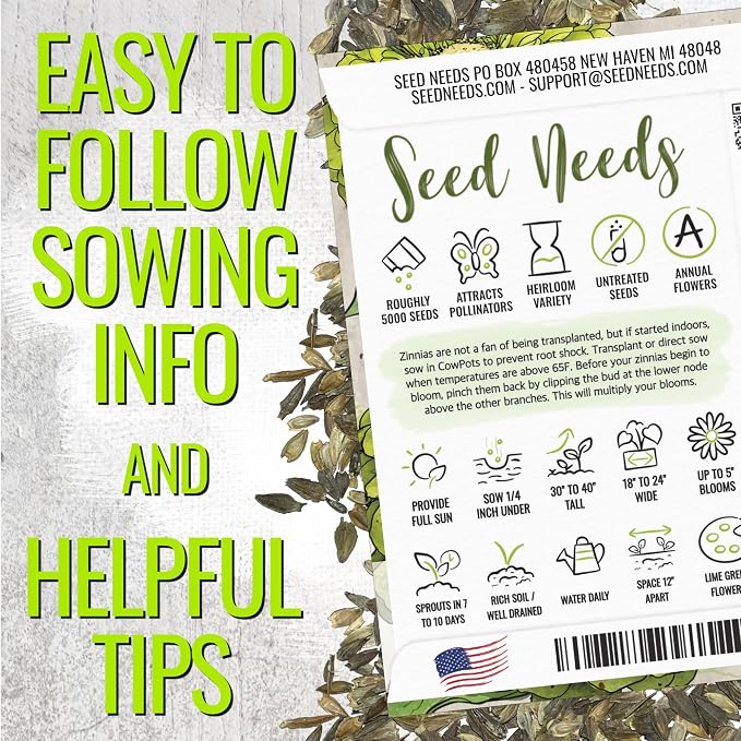 Seed Needs Zinnia Seeds Lime Green Envy Fast Blooming 5,000 Seeds Bulk Pack