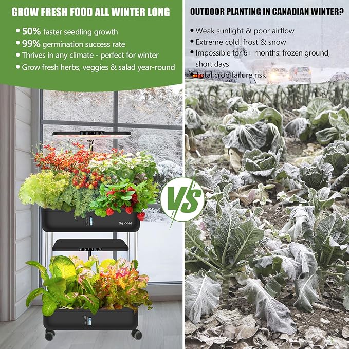 Large Hydroponics Growing System Kit,44-Pod with 3 Seed Packs | Includes Basil, Buttercrunch Lettuce & Gourmet Salad Mix seeds; 2-Tier, independent tanks and full-spectrum lights.