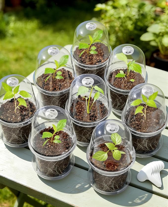 homenote 5 Inch Clear Nursery Pots 20 Pack with Humidity Domes&Plant Saucers–Rigid Plastic Nursery Pots with Drainage,Transparent Flower Pots for Seedlings,360° Rotary Vent,Indoor Outdoor Garden