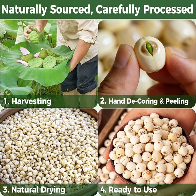 15oz Natural Dried Lotus Seeds, 425g Pure White Lotus Seed, Peeled & De-cored, Perfect for Herbal Tea, Porridge, Soup, Cooking & Baking