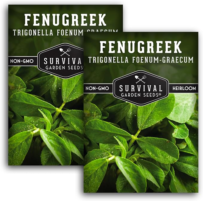 Fenugreek Seeds for Planting - Heirloom Methi Herb for Microgreens, Leaves, and Spice Seed Harvests - Non-GMO Garden Seed - Survival Garden Seeds (2 Packs)