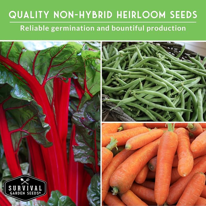 Northern Vegetable Seeds Collection – 15 Cold Hardy Heirloom Varieties for Planting in Cool Climates with Short Growing Seasons – Frost Tolerant Spring & Fall Garden – Survival Garden Seeds