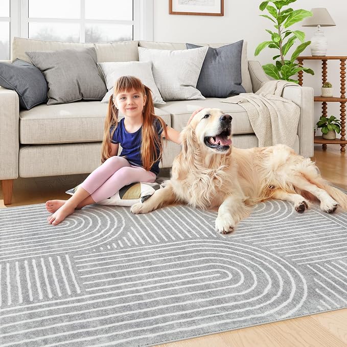 Lahome Area Rugs 5x7, Soft Washable Grey and White Rugs for Living Room | Ultra-Thin Non Slip Abstract Bedroom Throw Rug Carpet for Dining Room Office Playroom Darrell (5'x7', Gray)