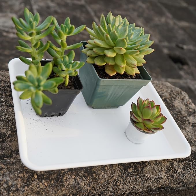 VUWEZ 4 Pack Plant Saucer Tray Rectangular, Plant Saucers for Indoors, Heavy Sturdy Plastic Plant Drainage Trays, Plant Drip Trays for Pots, Seed Starter Growing Tray (11 x 9, Creamy White)