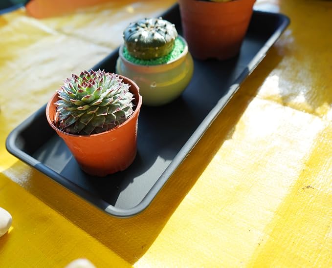 VUWEZ 6 Pack Plastic Plant Tray Saucer Rectangular, Heavy Duty Planter Saucers for Indoors, Plant Water Drip Trays for Flower Pot Planter, Windowsill Pot Tray, Seed Starting Growing Trays