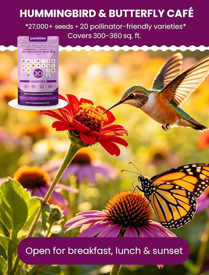 Wildflower Seeds Mix Hummingbird & Butterfly Cafe, 20 Heirloom Varieties, Specially Formulated to Attract Pollinators – High Germination for Outdoor Garden (4oz)