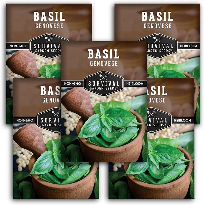 Genovese Basil Seeds for Planting – Survival Garden Seeds (5 Pack) | Sweet Italian Herb for Pesto & Culinary Dishes – High Germination Heirloom, Non-GMO Seed for Growing Indoors or Outdoors