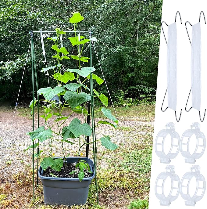 Tomato Hooks with String, Tomato Support Hooks, 10 Pcs Tomato Holder Hooks & 20 PCS Plant Support Clips with 33.3ft Twine to Prevent Tomatoes from Pinching or Falling Off