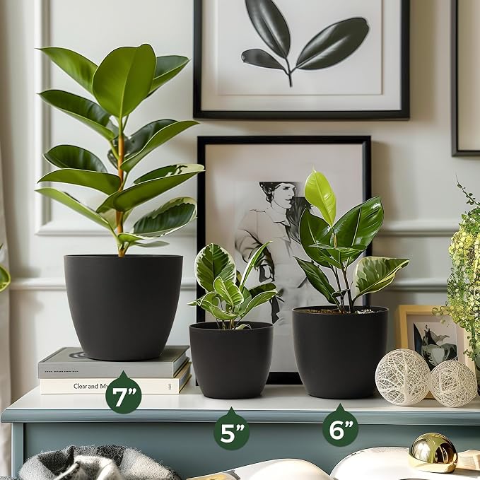 T4U 6 Inch Self Watering Planters Plastic Plant Pot, Modern Decorative Flower Pot/Window Box for All House Plants, Flowers, Herbs, African Violets, Succulents - Black, Set of 6