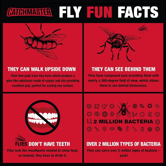 Catchmaster Fly Trap Bundle, Fly Ribbon 20-Pack & Fly Bag 4-Pack, Fruit Fly Traps for Indoors & Outdoors, for Garage, Backyard, Pool, Patio & Camping