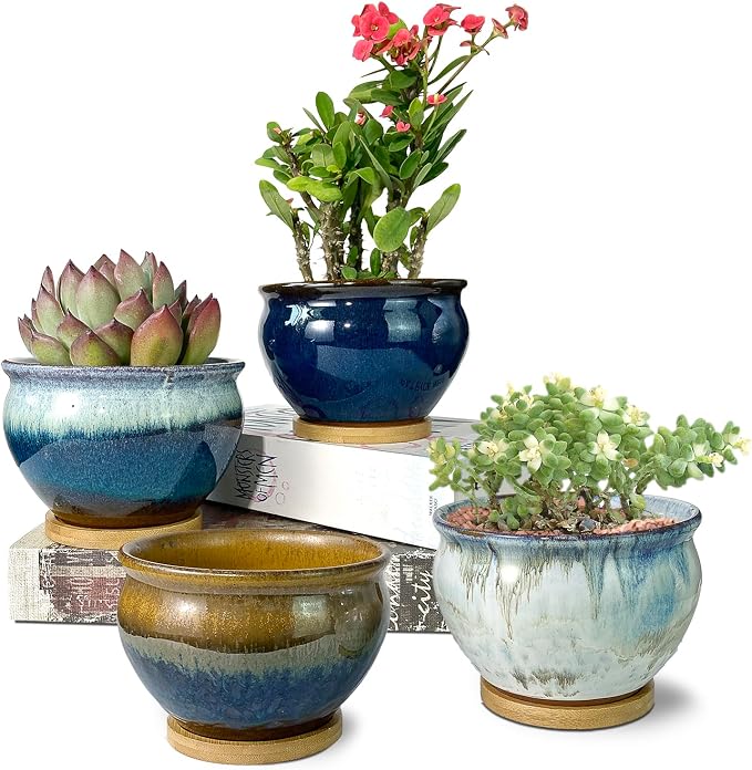 5.5 Inch Succulent Pot with Drainage and Free Saucer Glazed Terracotta Round Ceramic Succulent Planter Cactus Bonsai Plant Pot (Set of 4)