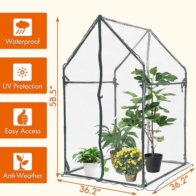Gardzen Mini Greenhouse Heavy Duty Portable Green House, Zipper Clear Tent Small Greenhouse for Indoor Outdoor Plants 36.2”(L) x36.2”(W) x59.5”(H)