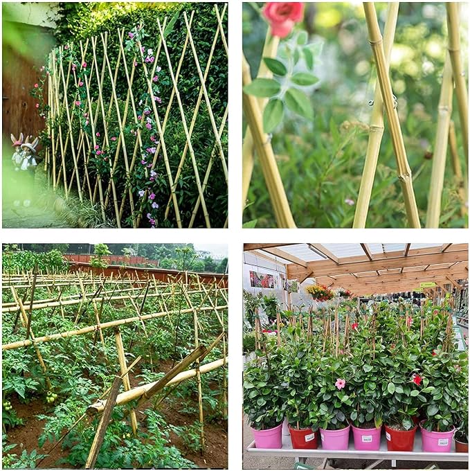 Cambaverd 6ft Bamboo Garden Stakes Eco-Friendly Plant Stakes 6 Feet, Bamboo Poles for Tomatoes Beans Climbing Plants Support - Pack of 20 Bamboo Stakes
