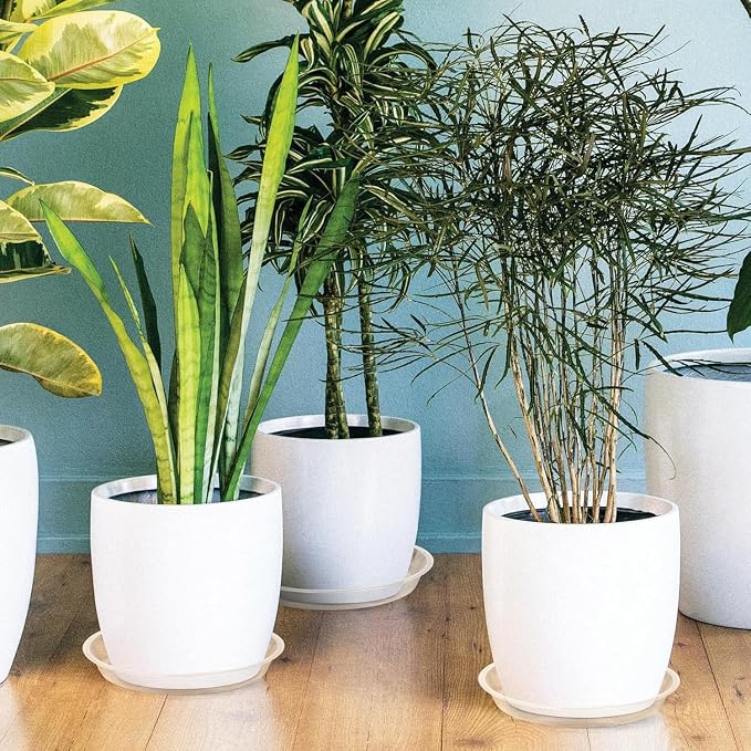 5 Pack Clear Plant Saucer, 4 5 6 8 10 12 14 16 18 20 22 Inch Durable Plastic Water Catcher Trays for Flower Pots, Plant Drip Trays for Indoor Outdoor Planter (5 inch)
