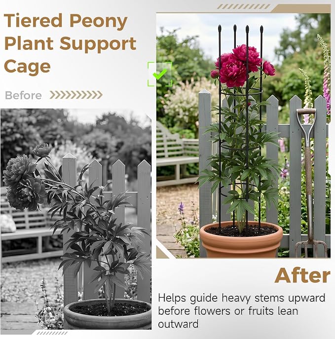 2PCS Peony Cages, 10.6" Dx60 H Peony Cages and Supports, 3 Tier Stackable Plant Support Ring, Metal Core with Plastic Coated Stakes for Peonies Tomatoes Roses Climbing Plants
