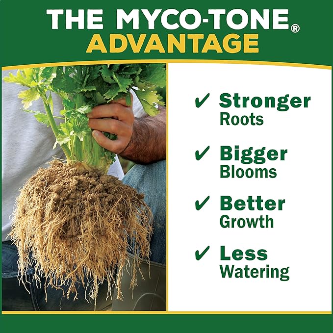 Espoma Organic Seed Starter Premium Potting Soil Mix - All Natural & Organic Seed Starting Mix with Mycorrhizae. for Organic Gardening, 16 qt, Pack of 2
