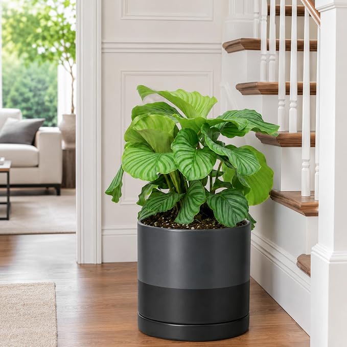 D'vine Dev 10 Inch Ceramic Planter Pot with Drainage Hole and Saucer, Indoor Cylinder Round Planter Pot, Slate, 94-O-E-5