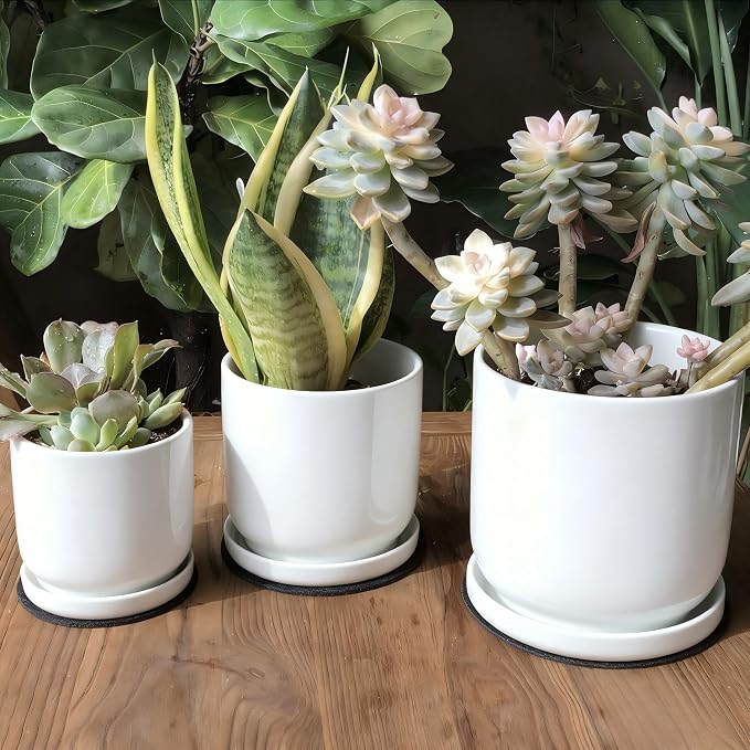 Yukfona Ceramic Plant Saucer Pot Tray 6、8、10 Inch White, Planter Saucers for Indoors Outdoor, Durable Sturdy Flower Drainage drip Water Tray for Glazed Pots Base