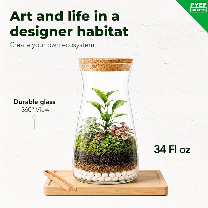 Terrarium Kit for Plants DIY | Starter Pack – Closed Ecosystem – 34 fl oz Glass – Succulents, Air Plants, Bonsai, Indoor Plants – (Plants Not Included)