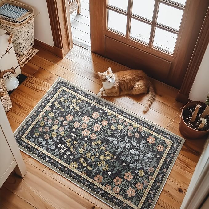 Machine Washable Small Rugs for Entryway: Door Mat Indoor Entrance 2x3 Rug Boho Throw Rug Non-Slip Low Pile Kitchen Rug for Front Door Indoor Entrance Entry Kitchen Bedside Kids Room
