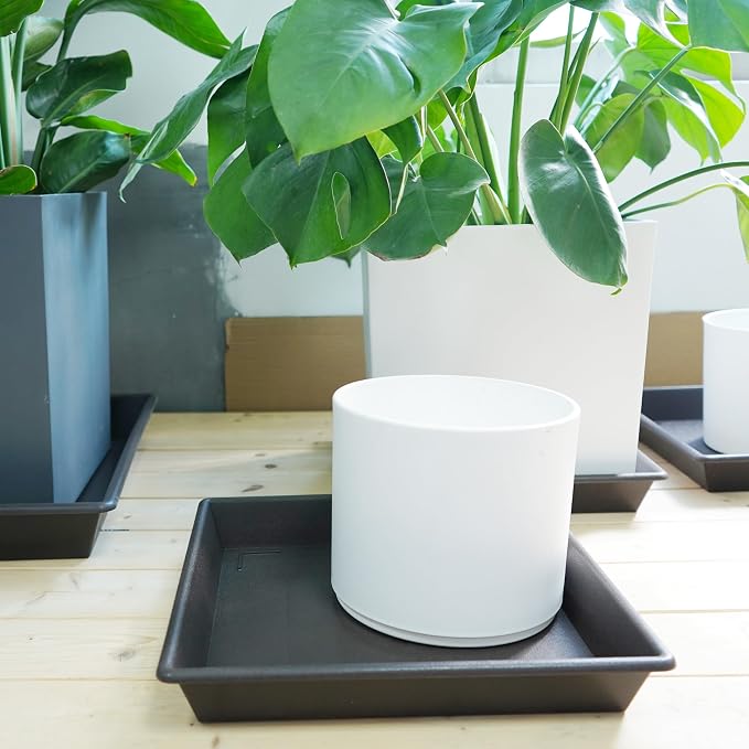 NIMYAU Square Plant Saucer 10 Inch 5 Pack, Plant Stand Flower Pot No Holes, Plant Trays for Pots Heavy Duty Plastic Plant Saucers for Indoors Outdoors Plant Lover Gardening Gifts