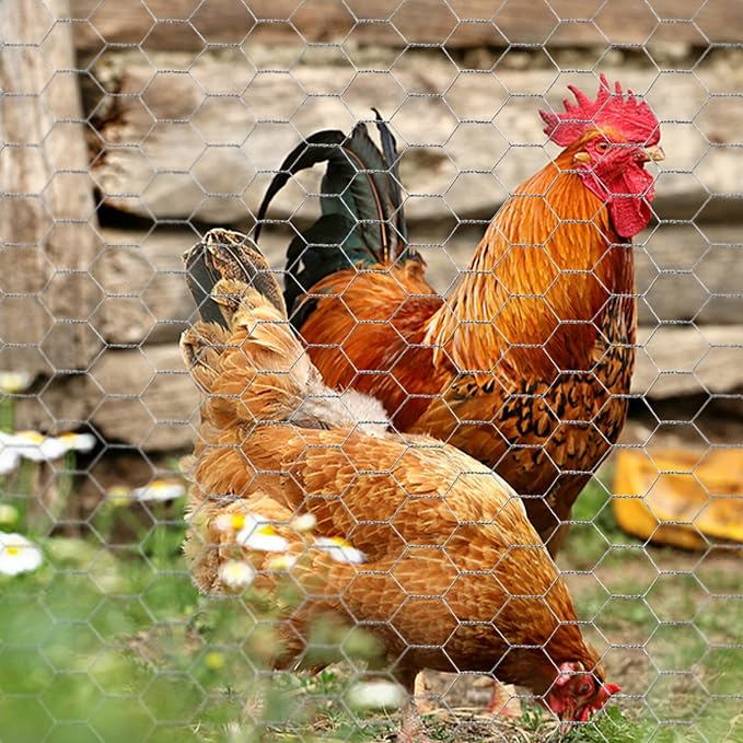 Chicken Wire 4 in x 590.5 in Poultry Wire Netting Hexagonal Galvanized Mesh Garden Fence Barrier for Pet Rabbit Chicken Fencing with 100 Pcs Cable Zip Ties