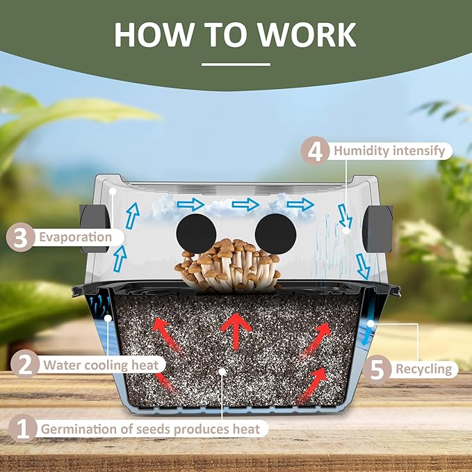 Mushroom Growing Kit, Monotub Stackable Grow Box, Fruiting Chamber with FAE Filters, Indoor Use, 12.6 x 12.6 x 6.3 inches, Clear and Black
