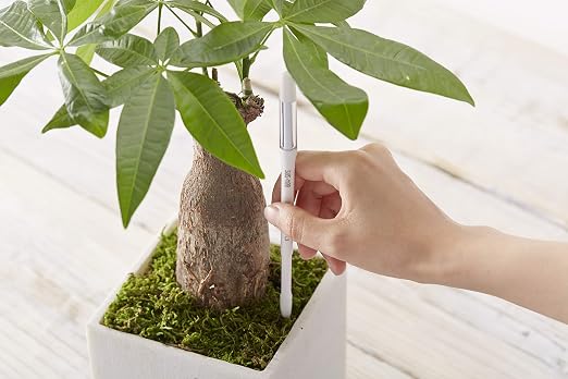 Sustee Aquameter, Set of 5, Plant Soil Moisture Sensor (White, Medium)