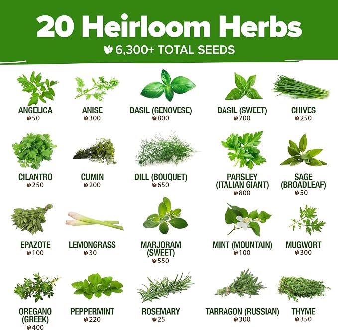 HOME GROWN Premium Herb Seeds Variety Pack - 20 Heirloom Herb Seeds for Planting - 6,000+ Non-GMO Seeds with Plant Markers - Indoor Outdoor Hydroponic Herb Garden - Culinary & Medicinal Herbs