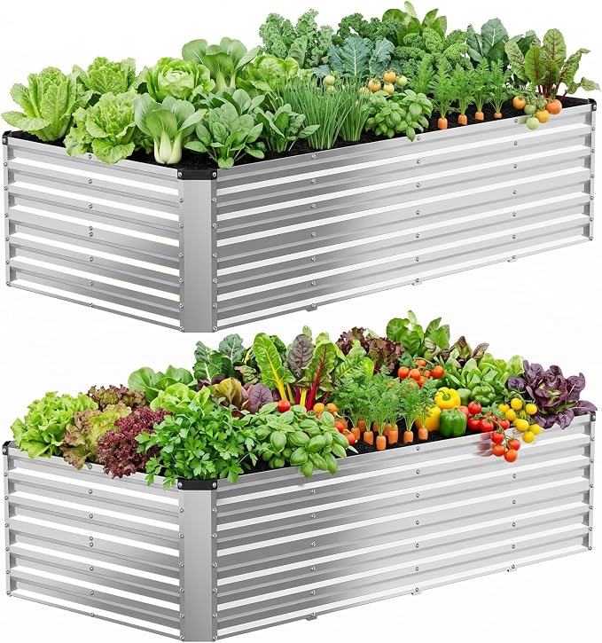 DUMOS Galvanized Raised Garden Bed Outdoor, 8x4x2ft 2 Pack Raised Metal Planter Box, Rust-Resistant Steel Garden Planter, Rectangular Gardening Flower Bed for Vegetables Flowers Herbs, Open Bottom