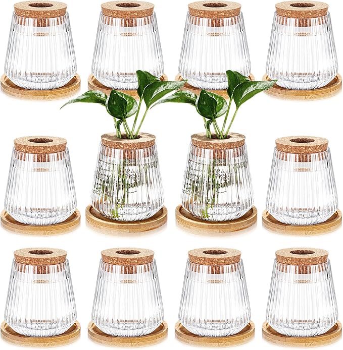 Baderke 12 Packs Propagation Vases for Plants Plastic Plant Propagation with Hole Lid and Bamboo Stand Growing in Water Hydroponic Home Office Desktop Vase Decoration