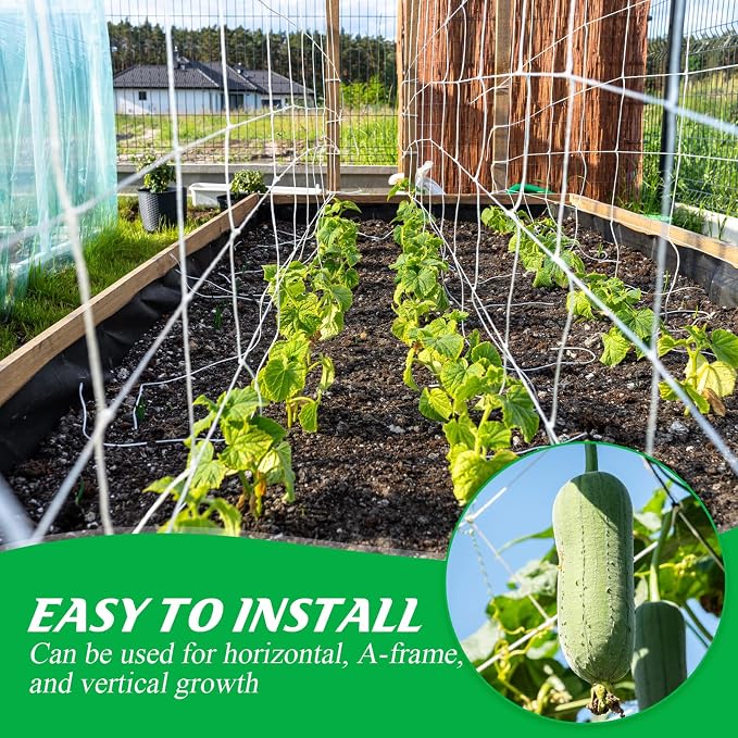 Berlune 6.5 x 1000 ft Trellis Netting Roll Heavy Duty Nylon Garden Trellis Netting with 6 Inch Mesh Soft Plant Support Net for Climbing Plants, Grape Racks, Growing Support Bean, Pea, Tomatoes