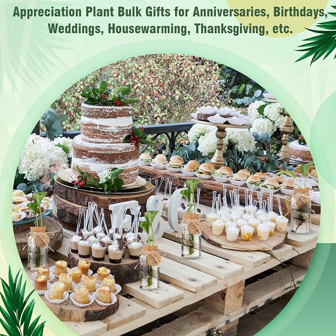 Baderke 24 Pack 3.54'' Plastic Plant Propagation Stations with Hole Lid 4oz Planter Vase Clear Propagation Jars with Thank You Tags for Plant Lover Gifts for Women Office Home Garden(24 Pack)