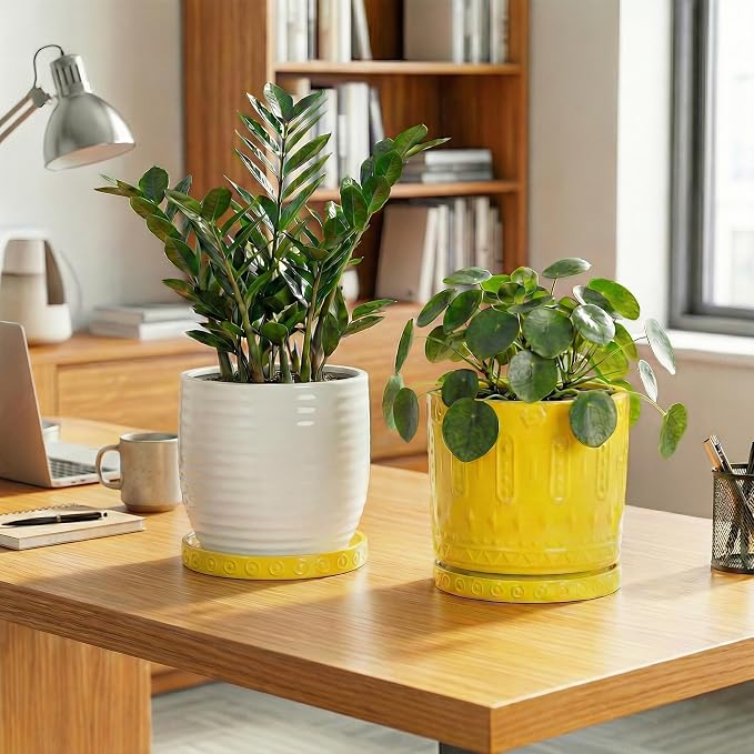 Eightpot Plant Water Catcher Tray 7.5 Inch, 2 Pack Ceramic Plant Saucers for Indoors Outdoors, Round Plants Plates to Catch Water, Modern Decorative Plants Dishes to Catch Water, Yellow