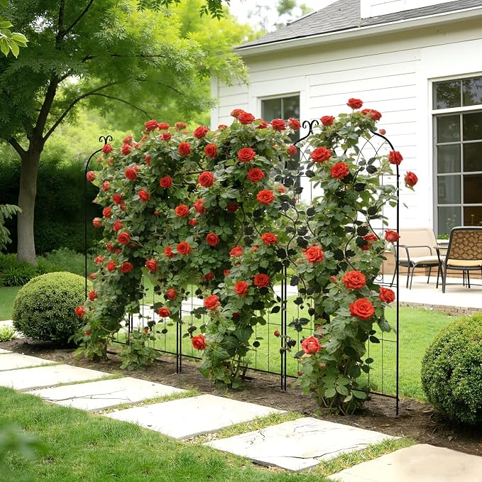 VEVOR Garden Trellis, 71 x 20 inch Rose Trellis, 2 Packs Garden Flower Rose Trellises with Powder-Coated Finish & Convenient Locking Design, Plant Support Trellises for Flowers, Vegetables, Roses
