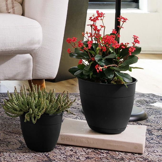 Bloem Dayton 8" Black Recyled Plastic Planter Pot with Drainage Holes and Removable Saucer for Indoor or Outdoor Gardening, Made in USA