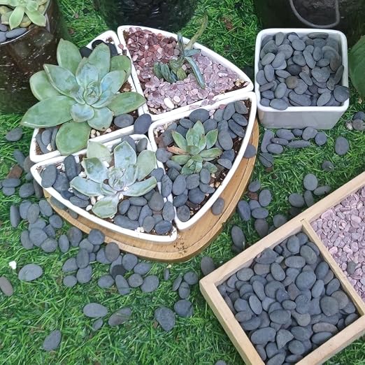 45lb River Rocks Pebbles for Plants & Succulents, Decorative Outdoor Landscaping Garden Rocks, Natural Small Mexican Beach Pebbles Aquarium Rocks Gravel for Fish Tanks Vase Yard Decor