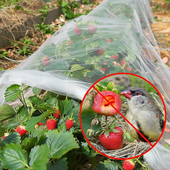 GonLei Garden Netting 10 X 50 FT Ultra Fine Netting for Garden Protection,Garden Netting for Raised Beds,Mosquito Net for Blueberry Shrubs Vegetables Fruits Flowers Crops Pest Barrier