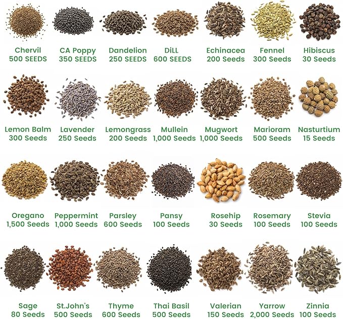 35 Medicinal Tea Herb Seeds Variety Pack with Planting Tools, Herbal Tea Garden Starter Kit for Beginners, Indoor Outdoor Gardening Gift Set, House Warming Gifts New Home for Women Men Mom Dad