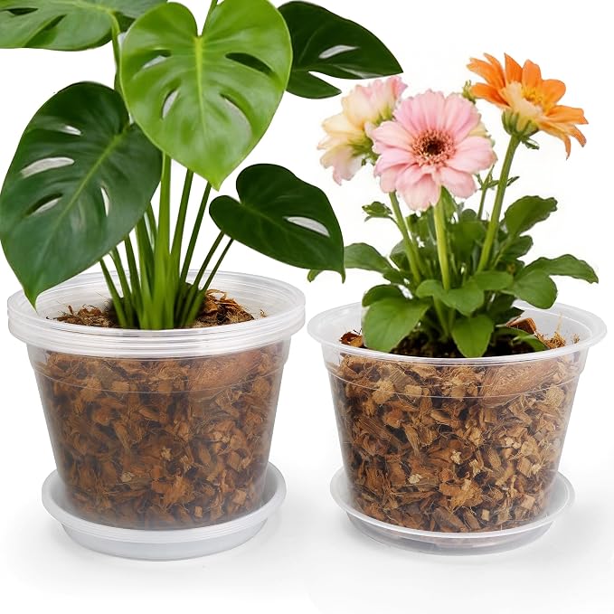 12 Inch Clear Nursery Pots with Drainage and Saucers, 5 Pack Large Clear Plastic Nursery Pots for Plants, Seedling Plant Pots for Repotting and Growing Plants, Flowers & Vegetables (12 inch)