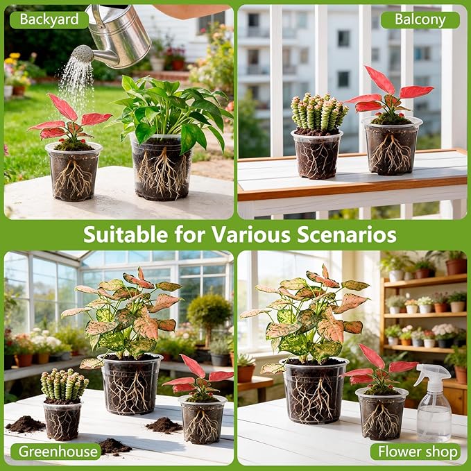 36 Pack 6/8/10 Inch Clear Nursery Pots with Drainage Holes, Transparent Plastic Plant Pots with 40 Waterproof Tags and 2 Mini Transplant Tools, Clear Pot for Plants and Vegetables(Each Size 12)
