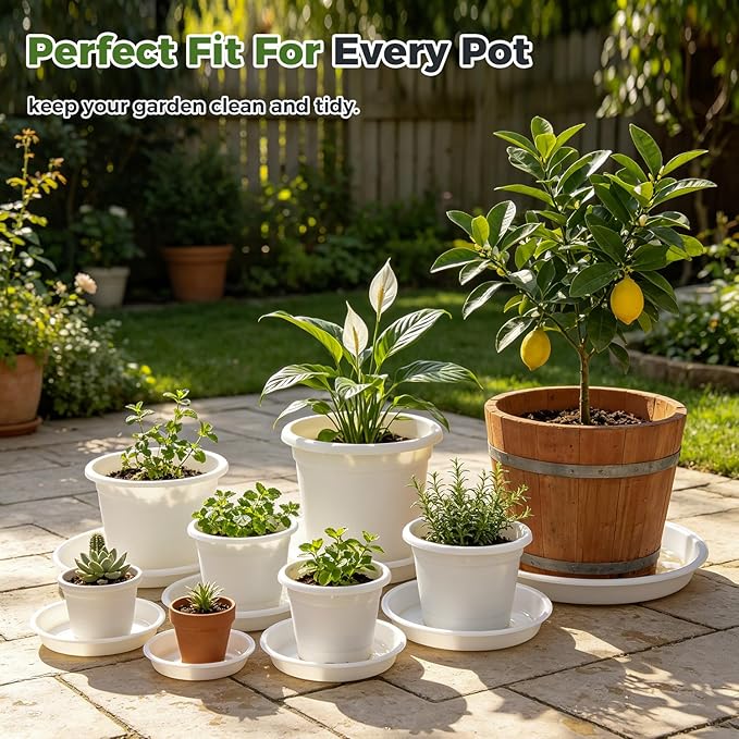 50 Packs 10 Inch Plastic Plant Saucers for Indoor Outdoor, Plant Water Catcher Tray for Pots, Bulk Flower Pot Saucers, Drip Trays for Potted Plants, Round Plates to Catch Water, White