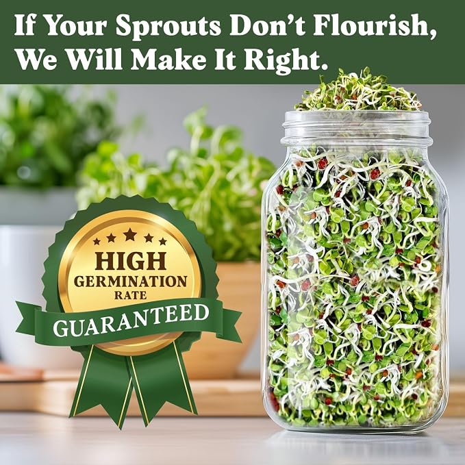 Seedboy Organic Non-GMO Radish Seeds for Sprouting - USA Grown Microgreens Sprouting Seeds - 8 oz Bag Makes 8 Quarts / 32 Servings (Daikon Radish)