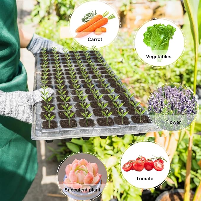 (20-Pack)200-Cell Seed Starter Trays with Dibber, 10 Pack Nursery Starting with Base Tray, 200 Hole Soil Digger for Setting Out Quickly, Seedling Planting Tray, Germination Kit Trays Reusable