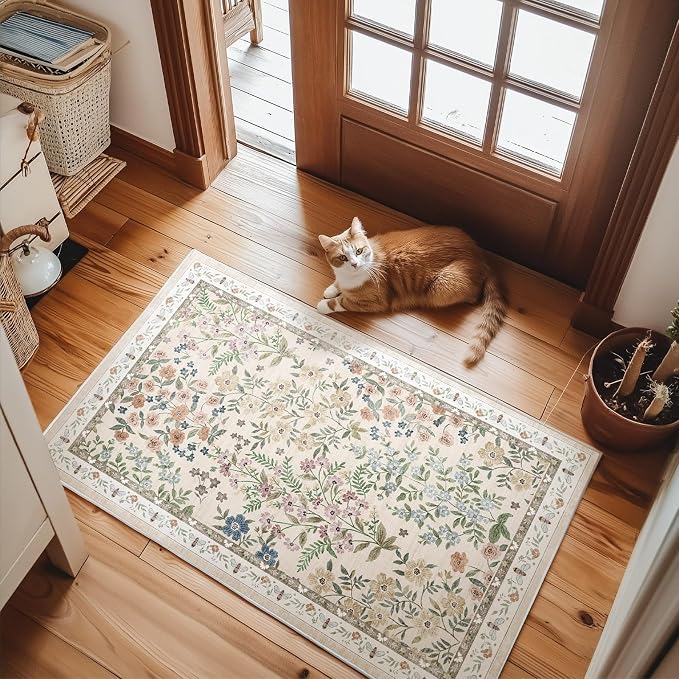 Machine Washable Small Rugs for Entryway: Door Mat Indoor Entrance 2x3 Throw Rug Non-Slip Low Pile Soft Kitchen Rugs for Front Door Indoor Entrance Entry Bedside Kids Room