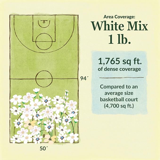 Ferry Morse Flower Seeds - White Wild Flower Mix, Non-GMO, Outdoor, Full Sun - 1 lb