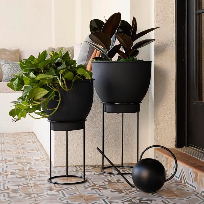 Bloem Fresca 2.5L Watering Can, Black Powder Coated with Novelty Handle and Long Sleek Spout