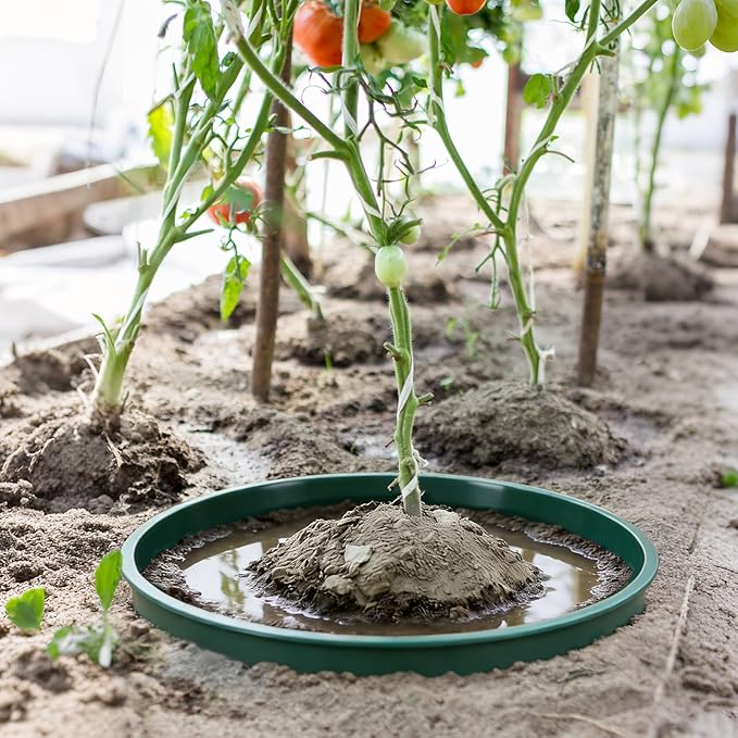 6PCS 12 Inches Plant Rings for Outdoor Plants, Plant Rings, Planting Ring, Planting Grow Rings to Separate Rock and Pest for Deep Watering Veggies Herbs and Flowers