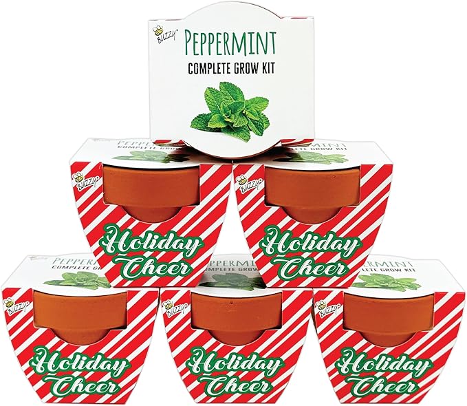 BUZZY Seeds Holiday Candy Cane Peppermint Grow Kit 6-Pack - Mini Terracotta Pot Grow Set - Complete Indoor Gardening Kit with Seeds, Coconut Husk Growing Medium & Genuine Pots - 100% Grow Guarantee