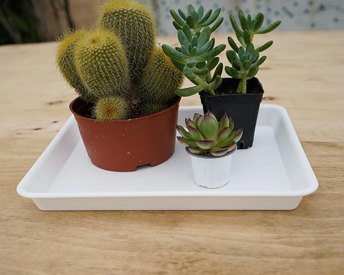 VUWEZ 2 Pack Plant Saucer, Nursery Trays, Heavy Sturdy Seed Starting Tray for Indoors No Holes, Starter Growing Tray (17.5"x10.6", Creamy White)